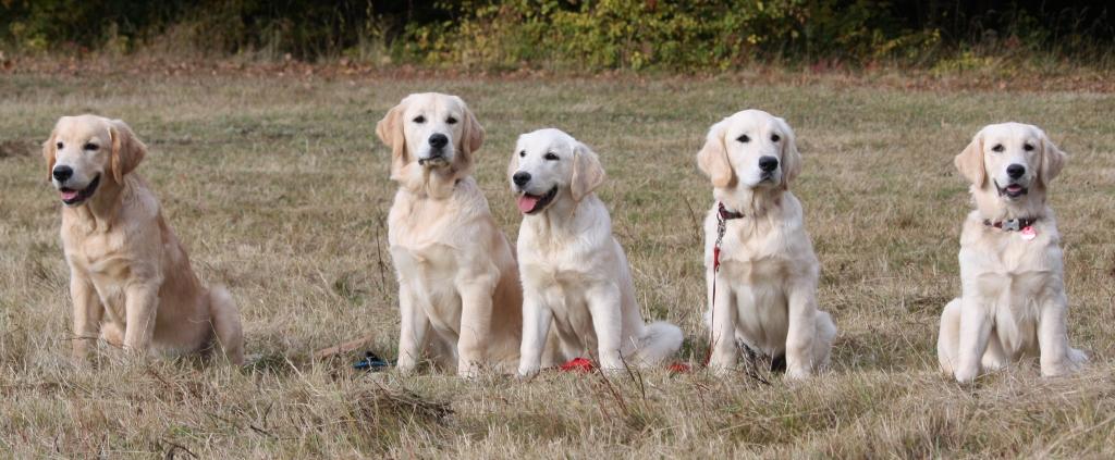 25.10.09: Jamie, JeMylo, Jolie, Jamiro und Janka
