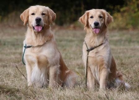 25.10.09: Ian Chester und Ida