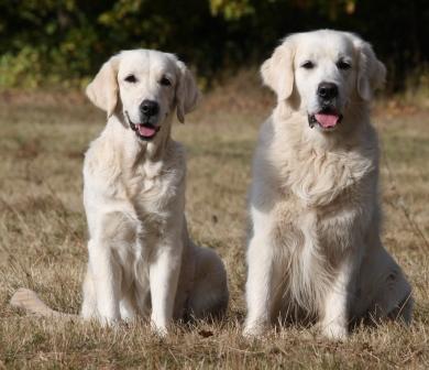 25.10.09: Filha und Findus