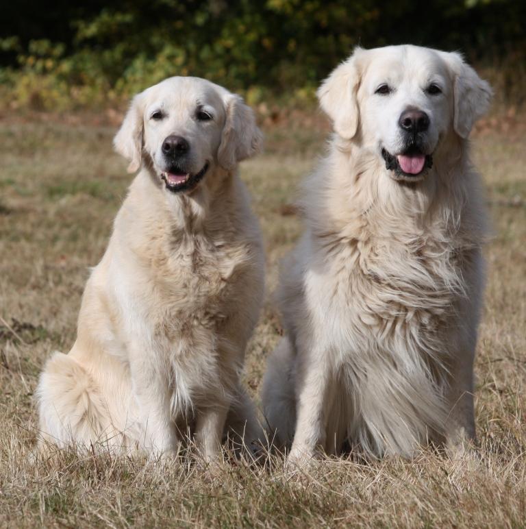 25.10.09: Dijou und Donald