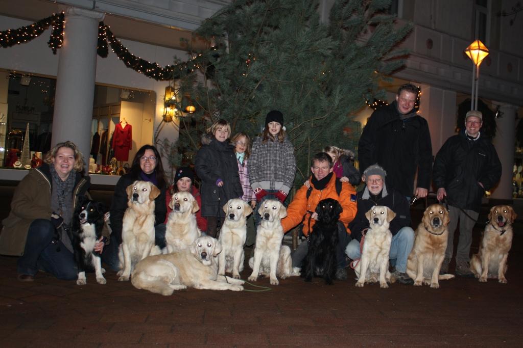 Dijou, Filha, Jolie, Shadow, Hunter, Kaya, Enzo, Mylo, Janka und Heavenbei den Uferlichtern in Bad Neuenahr