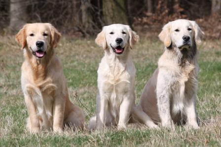 100402_Jamie, Jolie und Jamiro