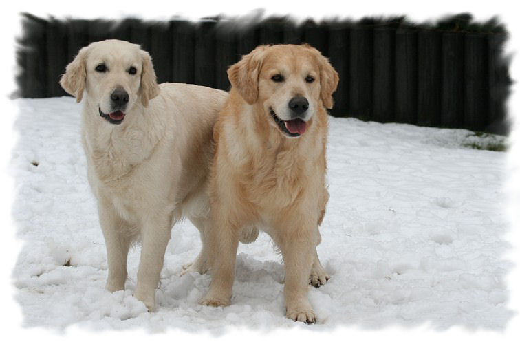 Filha und Watson: Ein gl�ckliches Paar