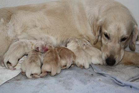 05.05.09, 3:55 Uhr: Wir sind schon zu sechst!