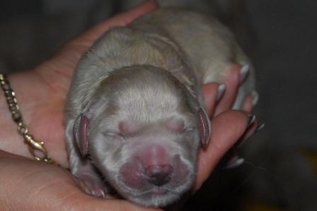 Auch noch nicht zu lange geboren!