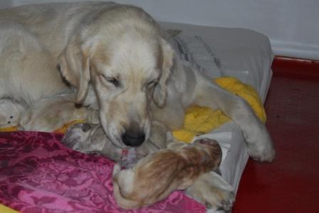 Auch gerade geboren!