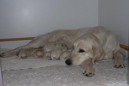 Alle da - Jetzt ist Entspannung angesagt!