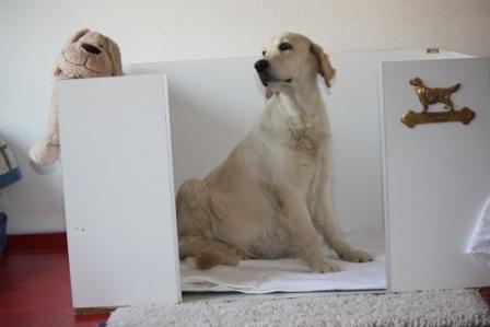 58. Tr�chtigkeitstag-Inspektion Wurfkiste