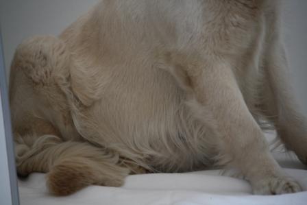 58. Tr�chtigkeitstag