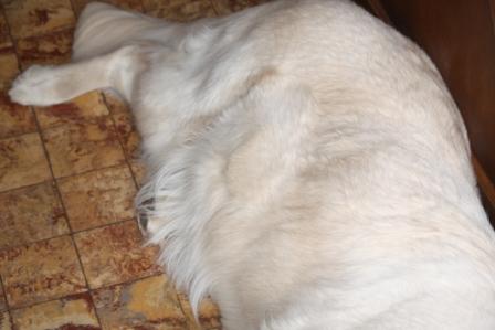 Filha 39. Tr�chtigkeitstag