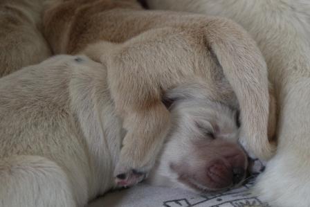 090508: 3. Lebenstag