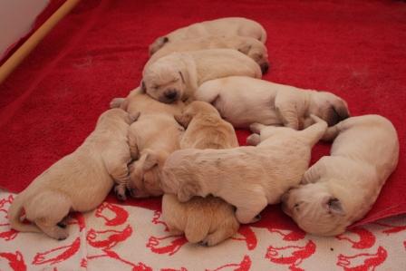 090510: Ein bunter Haufen!