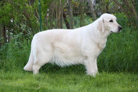 Filha 46. Tr�chtigkeitstag