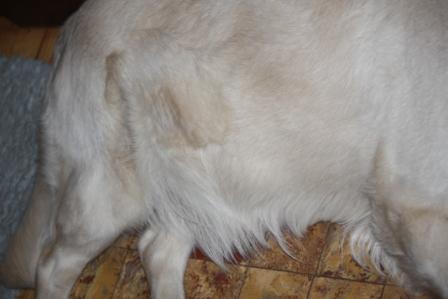 Filha 46. Tr�chtigkeitstag