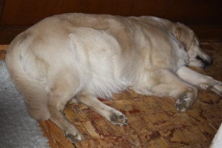 Filha 46. Tr�chtigkeitstag