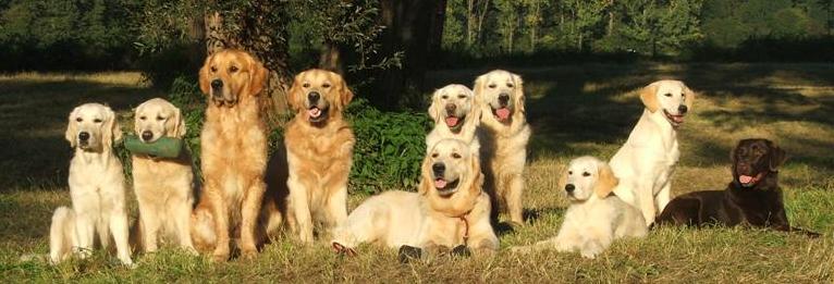 Dummytraining in den Siegauen September 2007