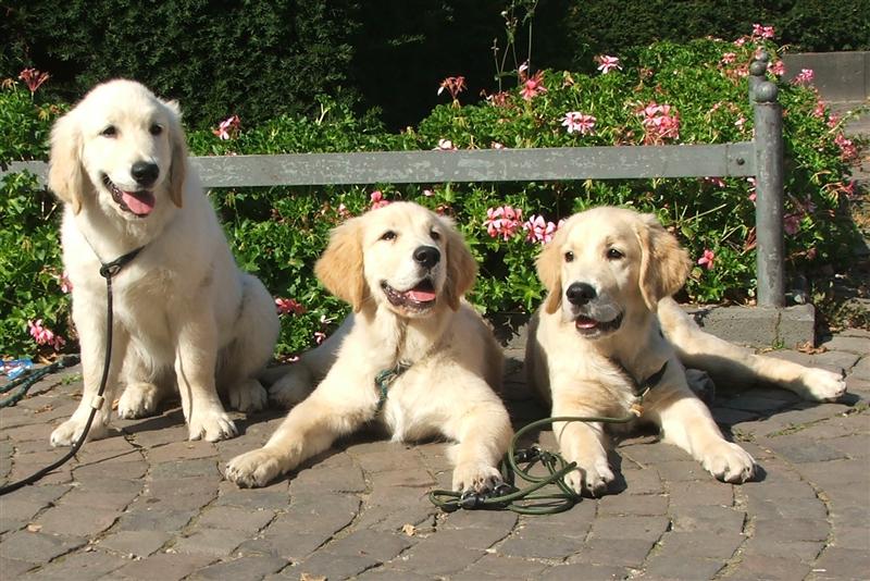 Iloy, Ian Chester, Inouk