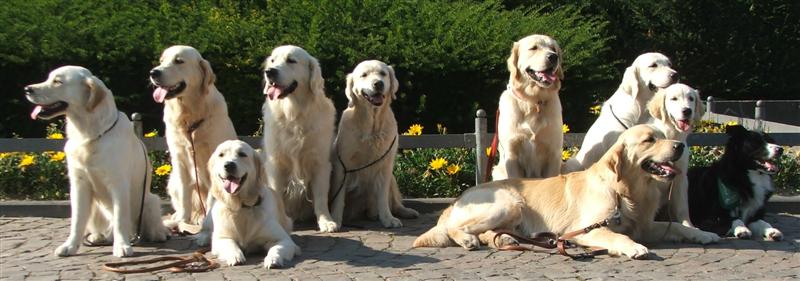 Hchens und weitere Nightingale's Fellows beim Stadtgang am 23.10.07: Heaven, Hobbit, HAmya, Findus, Dijou, Henry, Hunter, Filha, Iza, Shadow