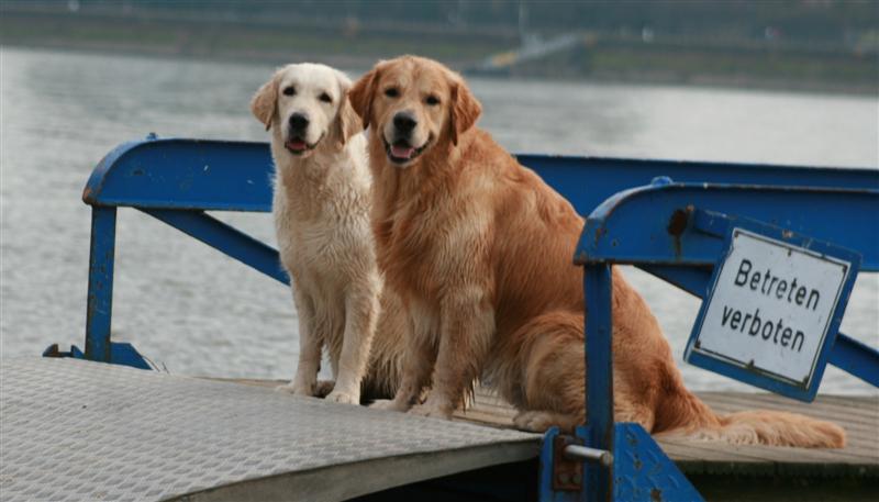 Filha und Gambit in Bonn-Beuel