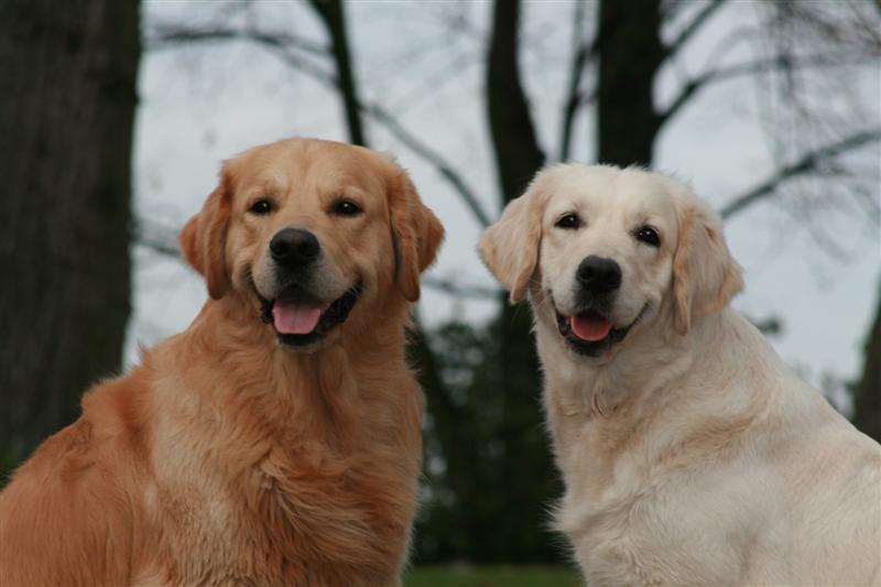 Gambit und Filha im November 2007