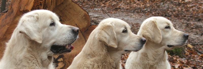 Donald, Dijou, Filha