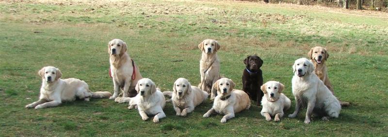 21.03.08: Heaven, Hobbit, Filha, Dijou, Inouk, HAmya, Shiva, Amy, Findus, Gambit