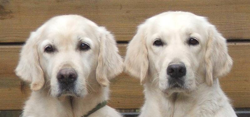 Dijou und Filha am 21.03.2008