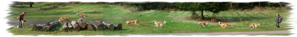 Gambit: Fotocallage von Thorsten!