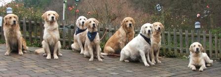 081207: Enzo, Chester, Dijou, Amy, Hunter, Filha, Ida, Heaven