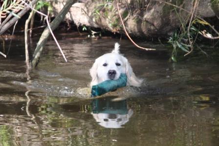 Findus beim Wasserapport