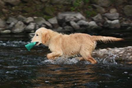 Jamie transportiert aus dem Wasser