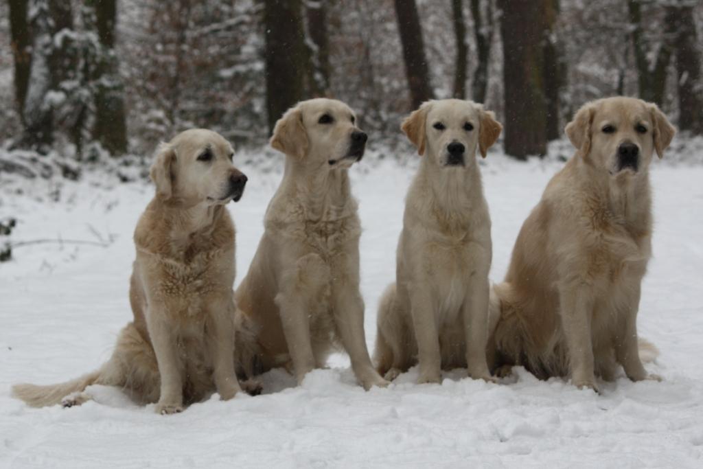 100211: Dijjou, Filha, Jolie und Ferdi