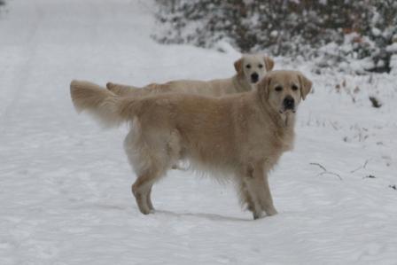 100211_Ferdi und Jolie