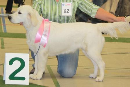 N.F. Kiss You Keemba Kishou, 2. Platz J�ngstenklasse