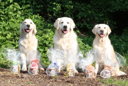 NFF: Filha, Findus und Feline