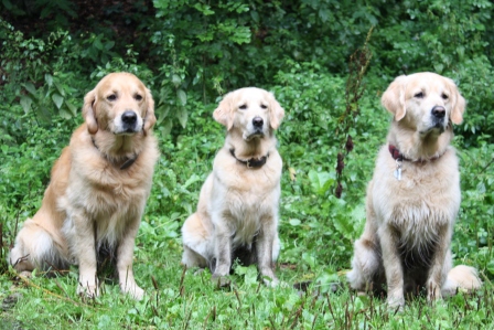 NFH: Hunter, HAmya, Henry