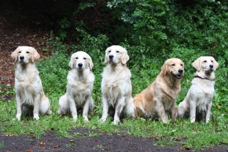 NFJ: Jillian, Jolie, Jamiro, Jamie, Janka