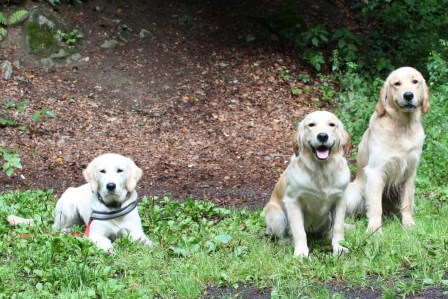 NFK: Kenda, Kieron, Kaya