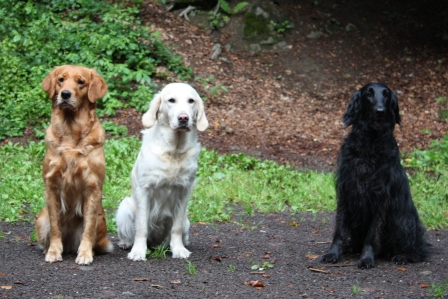 NF-Friends: Georgia, Aban�e, Kaya