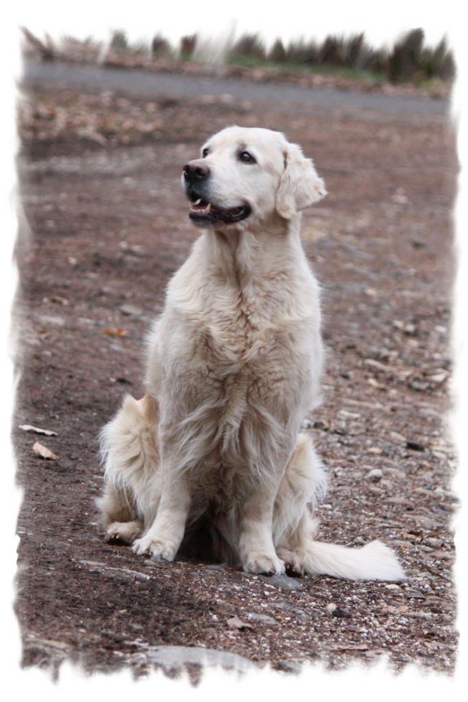 Dijou im M�rz 2009