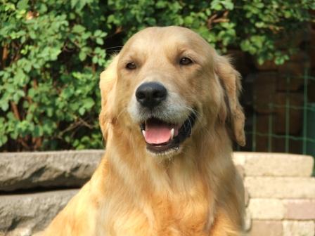 Mutter: Nightingale's Fellow Esta Josephine