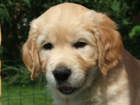 Hello - ich bin Ms. Blue ...