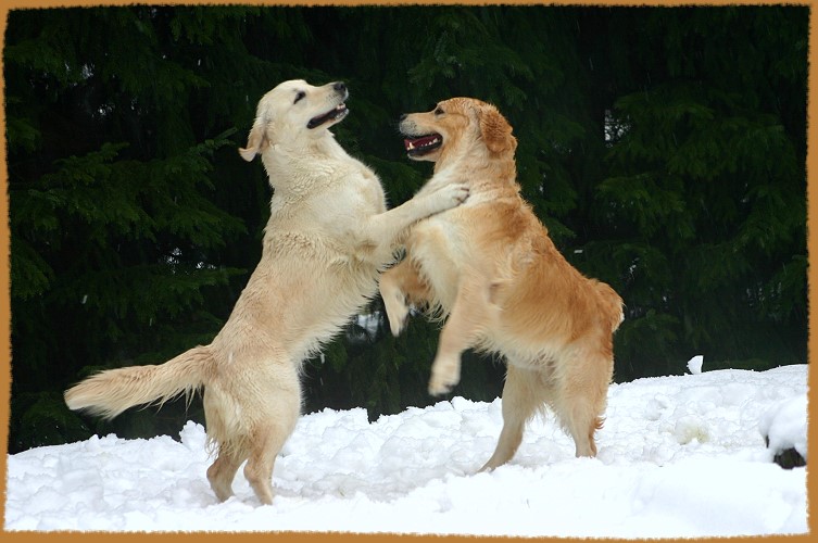 Hochzeitstanz Filha und Watson am 24.03.07 im Schnee!