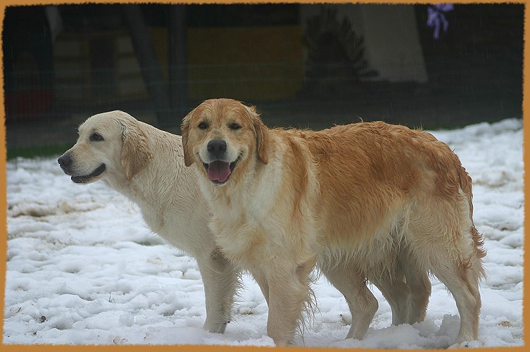 Hochzeit Filha und Watson am 24.02.07!