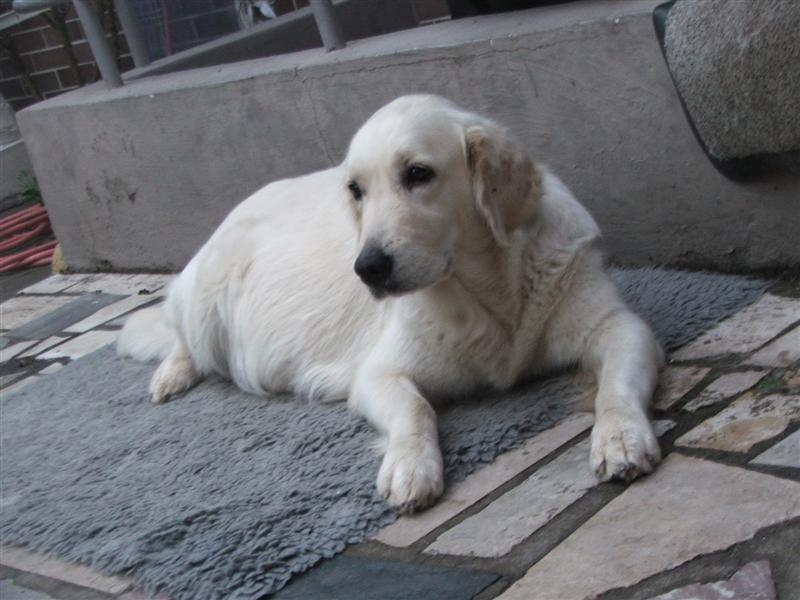 Filha: ... bald ist es soweit!