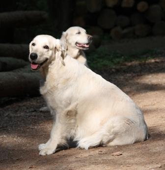 Filha am 53. Tr�chtigkeitstag