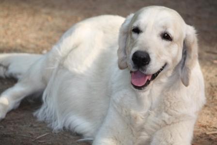 Filha am 53. Tr�chtigkeitstag