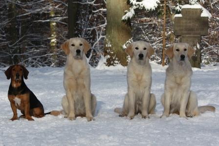 100207 Merlin, Josy, Jolie, Janka