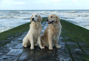 Filha und Dijou 01-2005